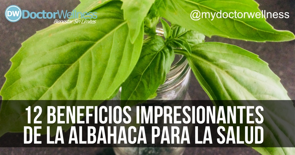 Beneficios Impresionantes De La Albahaca Para La Salud Mydoctorwellness