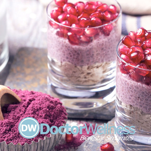 Descubre estos Asombrosos ANTIOXIDANTES