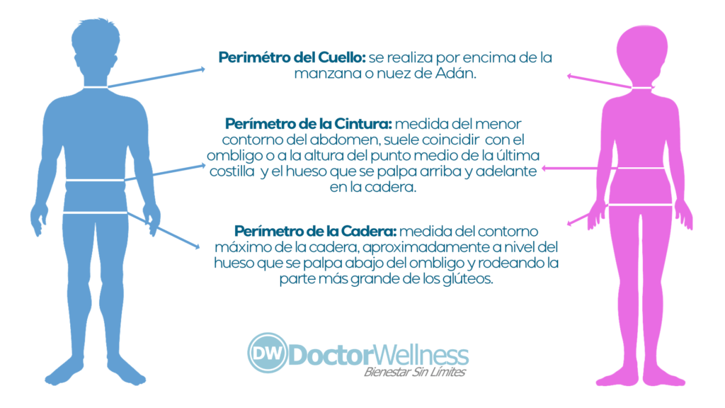 medidas cuello cadera cintura